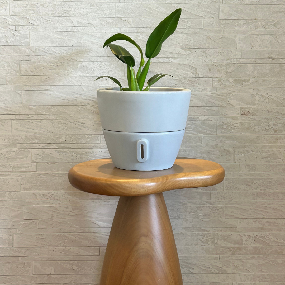 Vaso Brota Cone Vietnamita 22x24