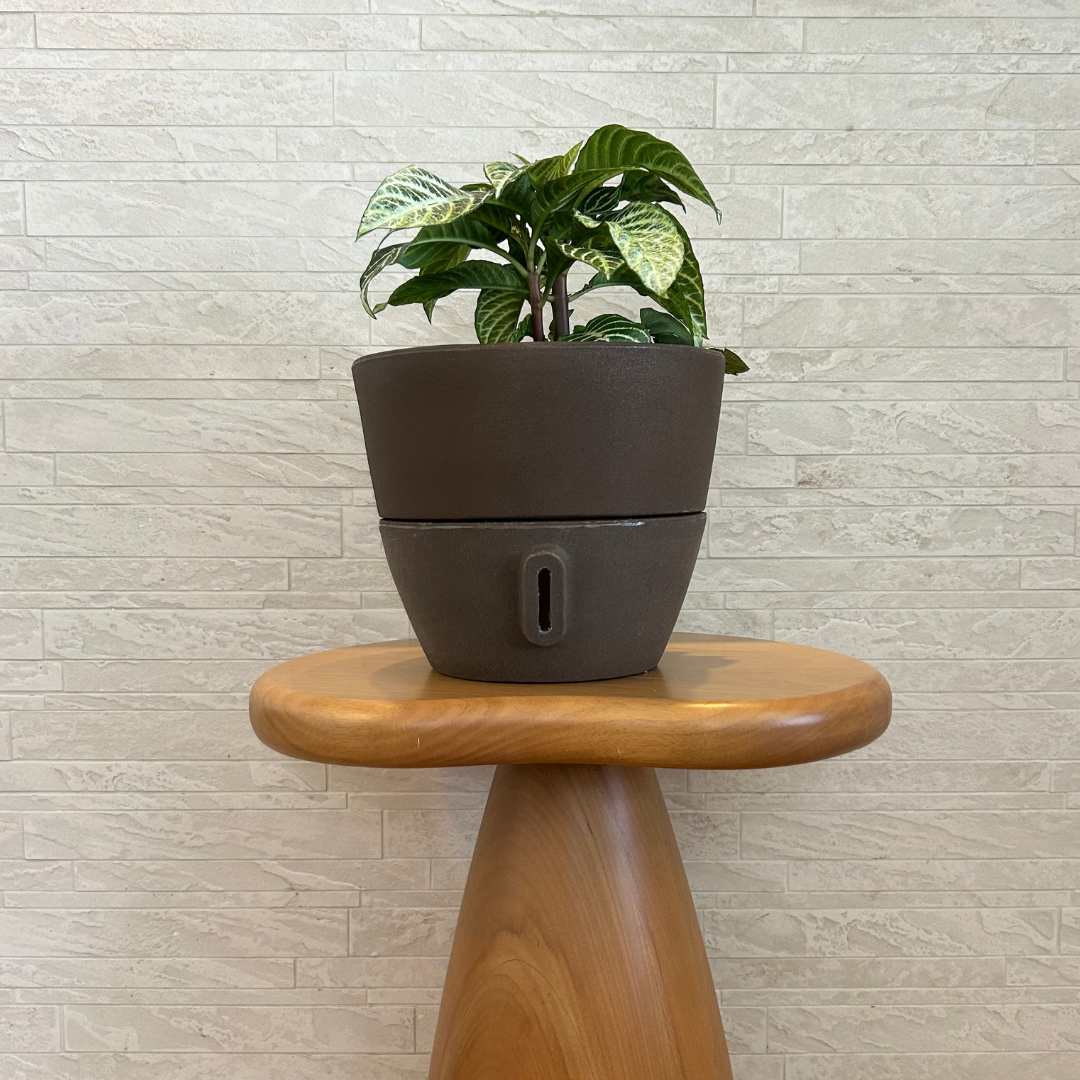 Vaso Brota Cone Vietnamita 22x24