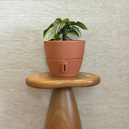Vaso Brota Cone Vietnamita 22x24
