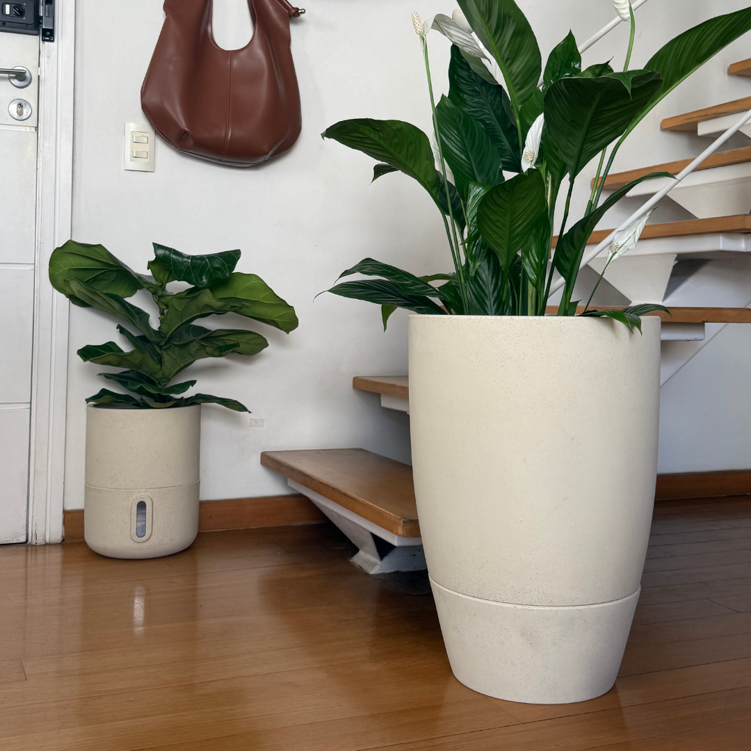 Vaso Brota Decor Urbi 25x33