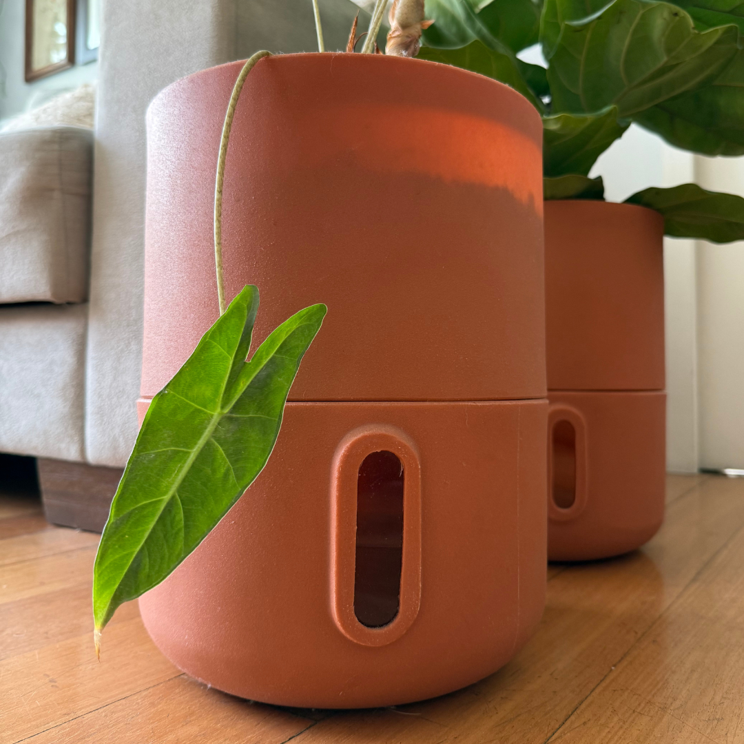 Vaso Brota Decor Urbi 25x33