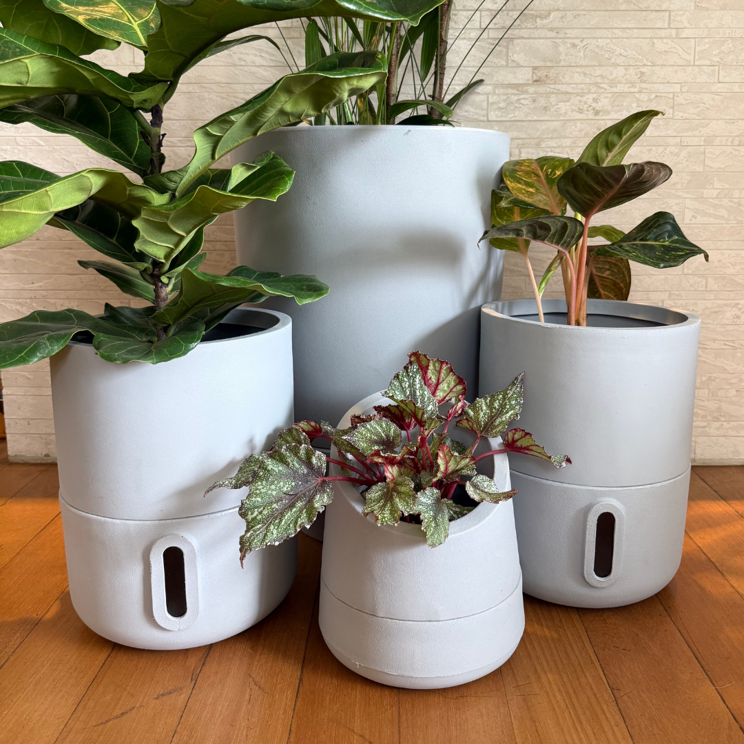 Vaso Brota Decor Urbi 25x33