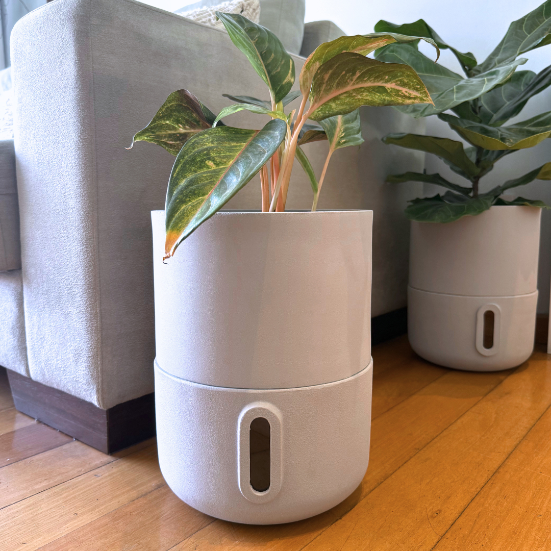 Vaso Brota Decor Urbi 25x33