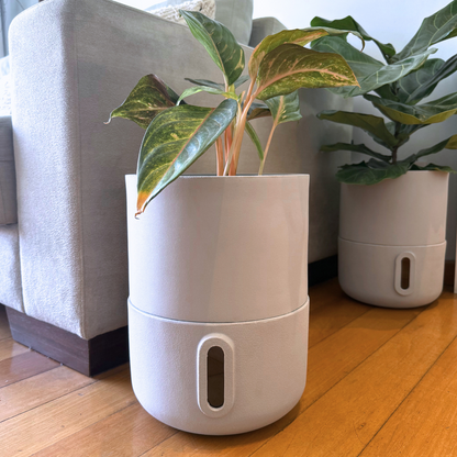 Vaso Brota Decor Urbi 25x33