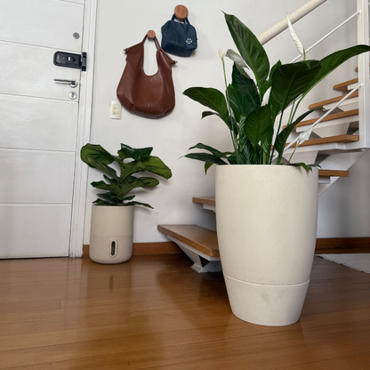 Vaso Brota Cone Vietnamita 55x38