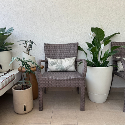 Vaso Brota Cone Vietnamita 55x38