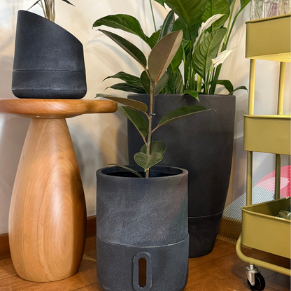 Vaso Brota Cone Vietnamita 55x38