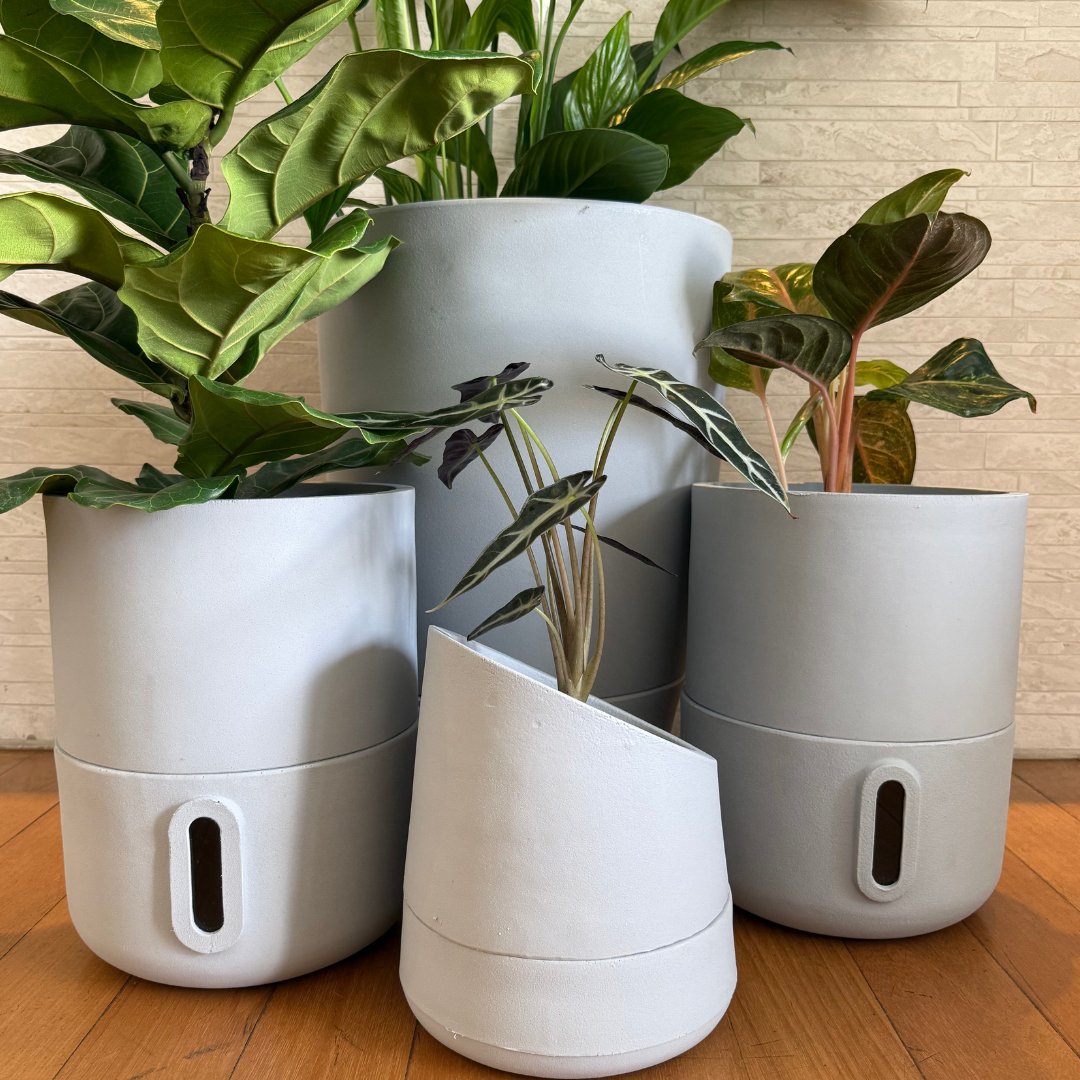 Vaso Brota Cone Vietnamita 55x38
