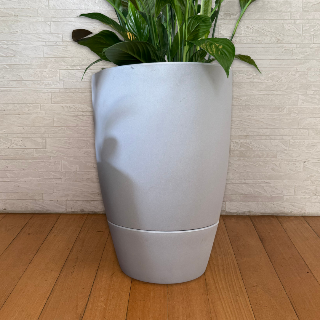 Vaso Brota Cone Vietnamita 55x38