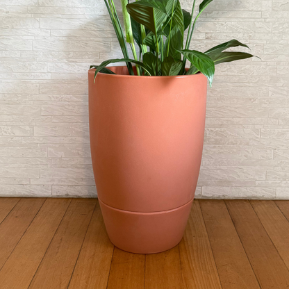Vaso Brota Cone Vietnamita 55x38