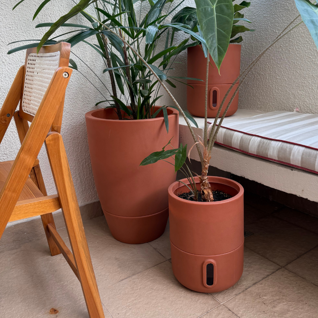 Vaso Brota Cone Vietnamita 55x38