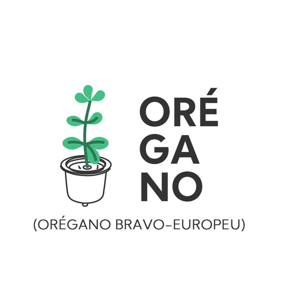 [BOX] Orégano Bravo-europeu | Unidade