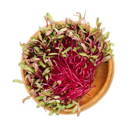 Beterraba Baby Beet | 3 cápsulas