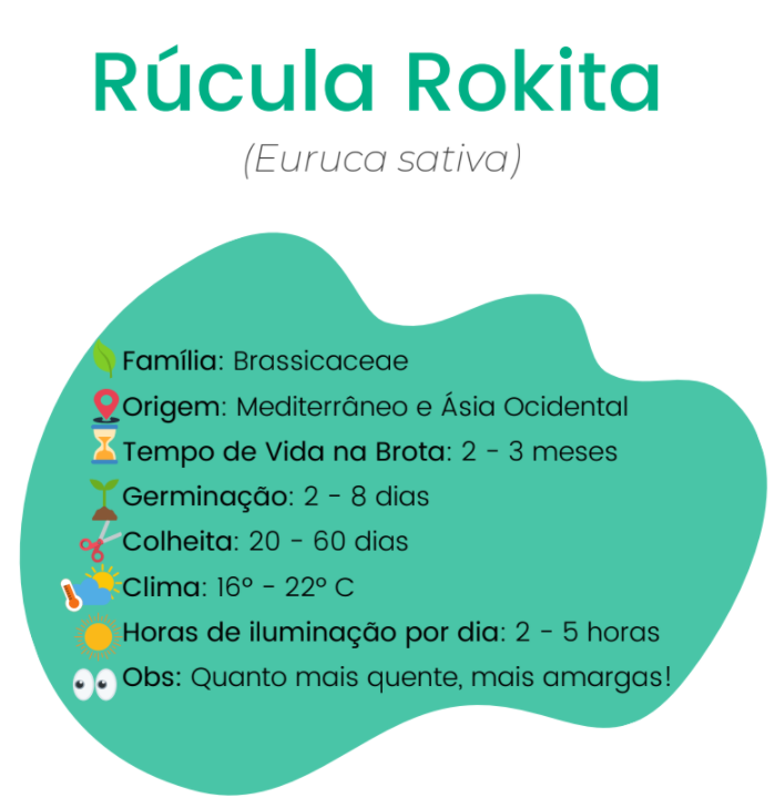 informações sobre rúcula rokita