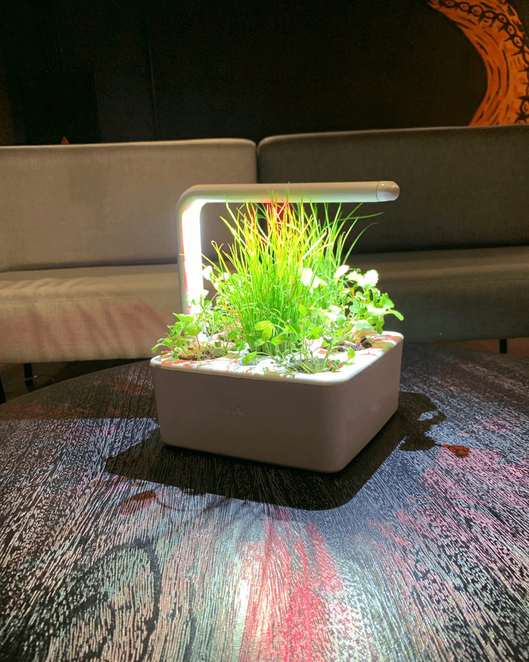 Luz artificial para plantas