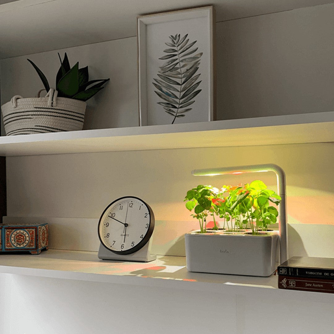 Horta inteligente com luz artificial numa estante