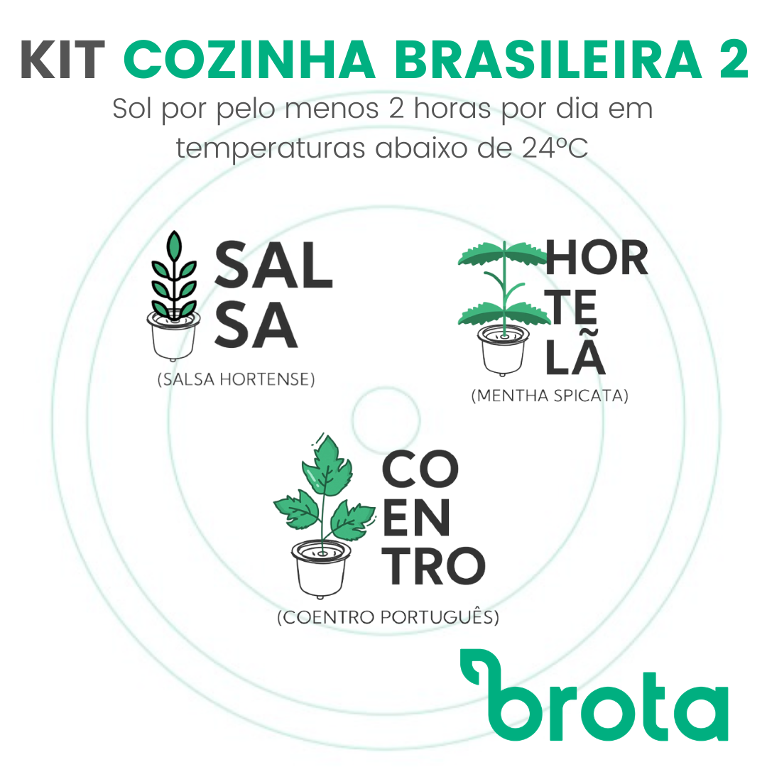 Kit Cozinha Brasileira 2