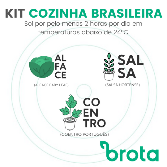 Kit Cozinha Brasileira 1